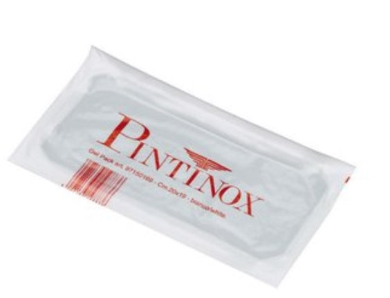 Gel Pack Foil Refrigerato 100g Mm.200x98 Pintinox