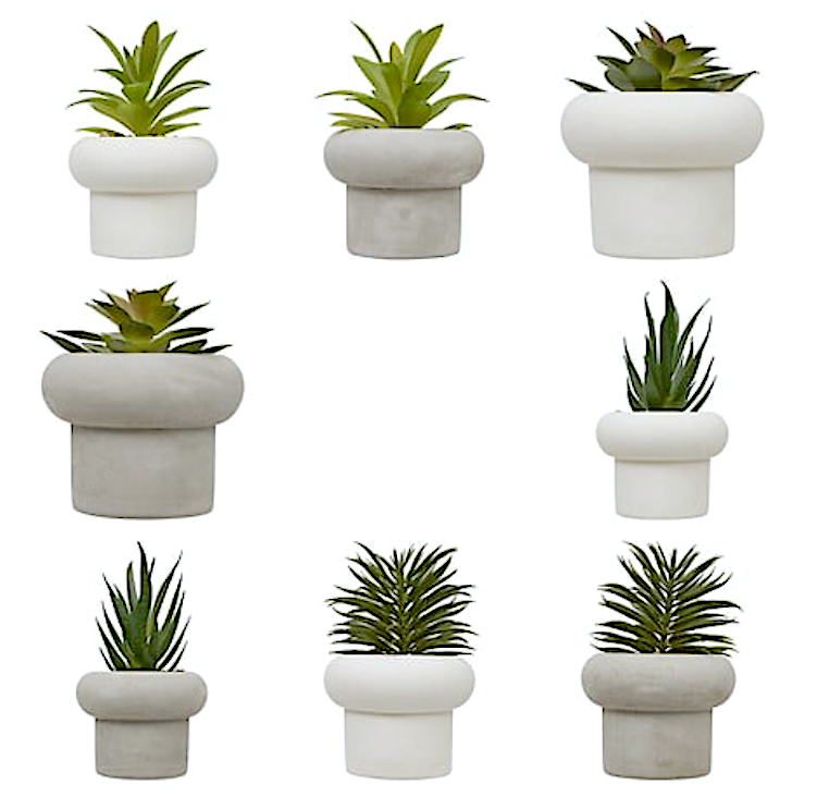 Stefi Pianta Grassa Cm.15 Con Vaso Cemento Assortito 210231