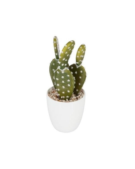 Vaso Con Cactus Cm.18 155600