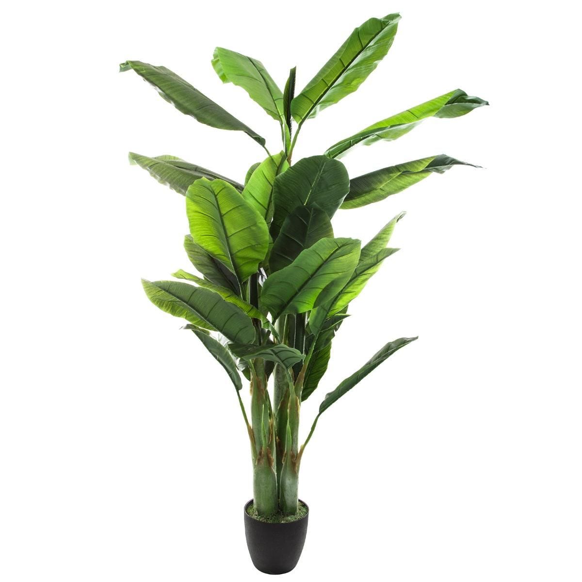Pianta Di Banano Decorativa Cm.170