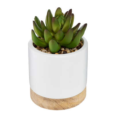 Piantina Con Vaso Ceramica/legno Cm.12