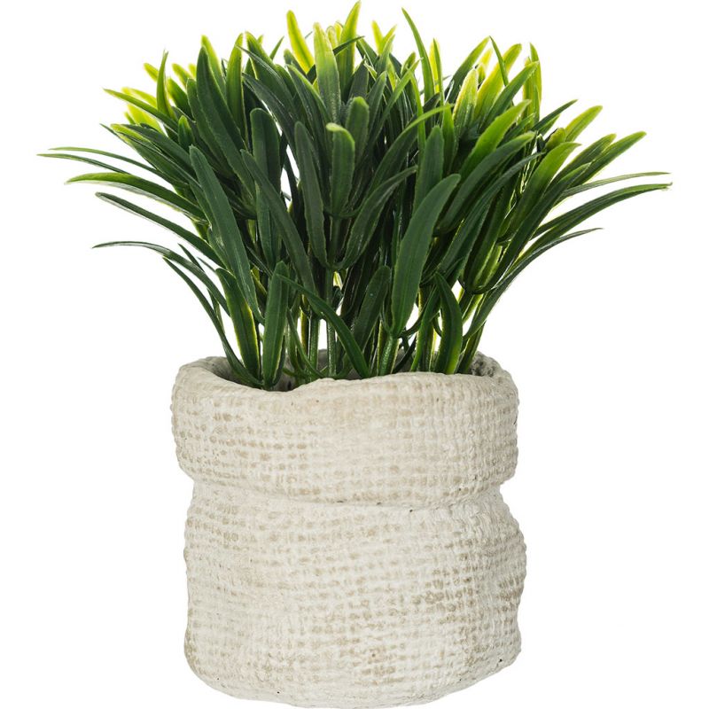 Pianta Decorativa C/vaso In Cemento Cm.12x14
