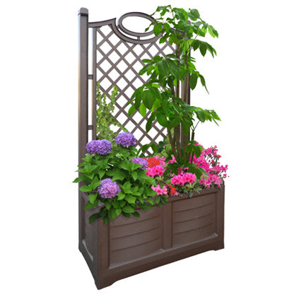 Separe' Fior Con Spalleria 80x42,5x150h Cacao