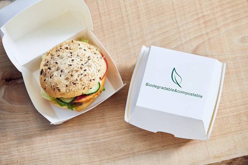 Take Away Confezione 25 Contenitori Cm.16x15,5x9