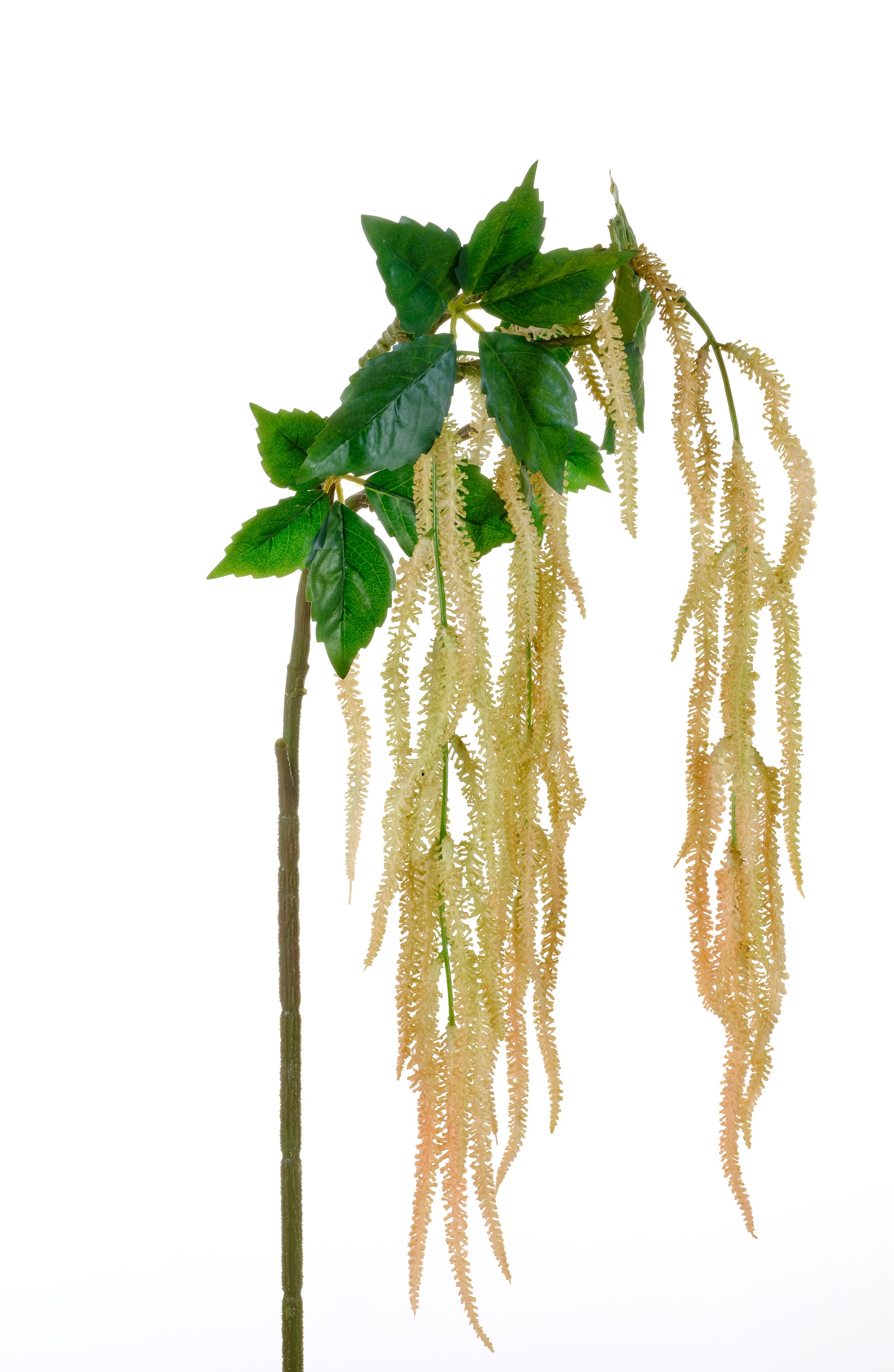 Pianta Cm.106 Caterpillar Rosato 270008758