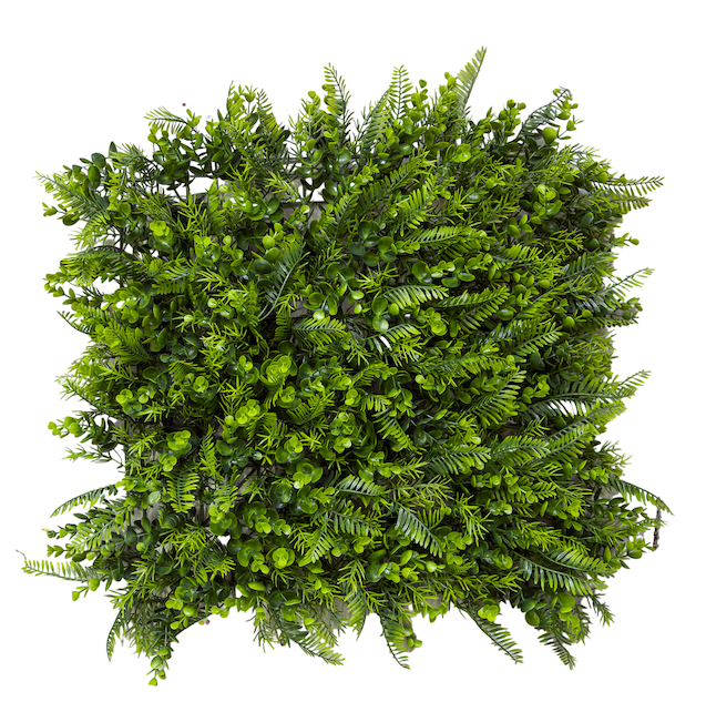 Eucalipto/felce Tappeto Sintetico Cm.50x50 Verde