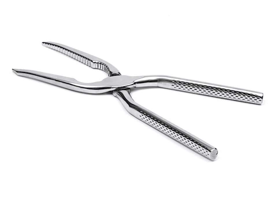 Pinza Frutti Di Mare Acciaio Inox