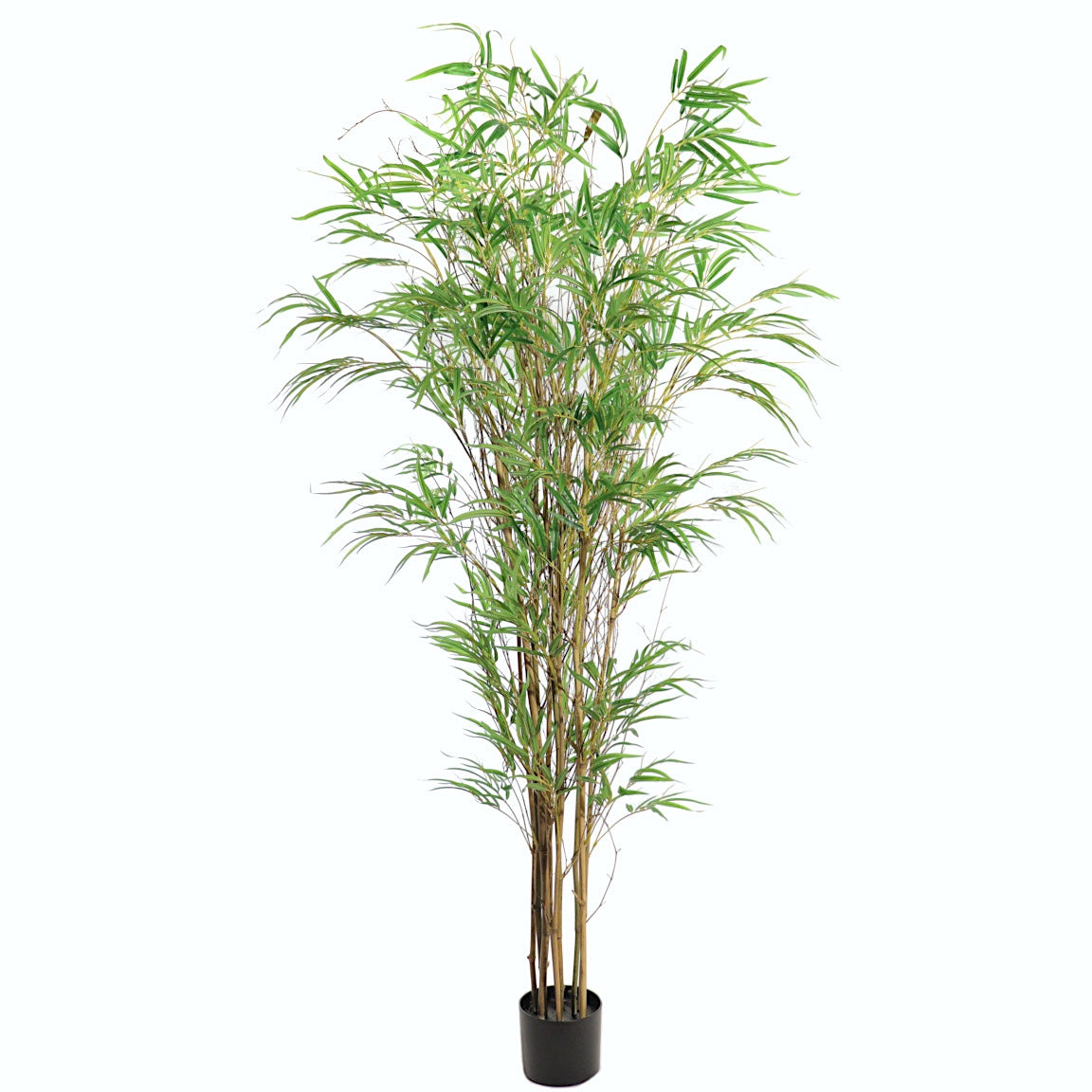 Pianta Bamboo Cm.180 Foglie Verdi 7581-09