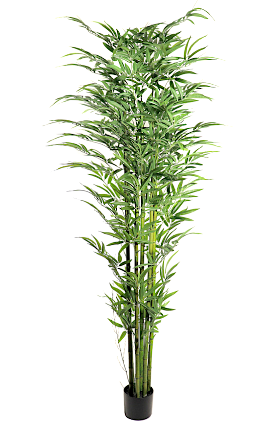 Bamboo Foglie Grandi Cm.300 7592-09