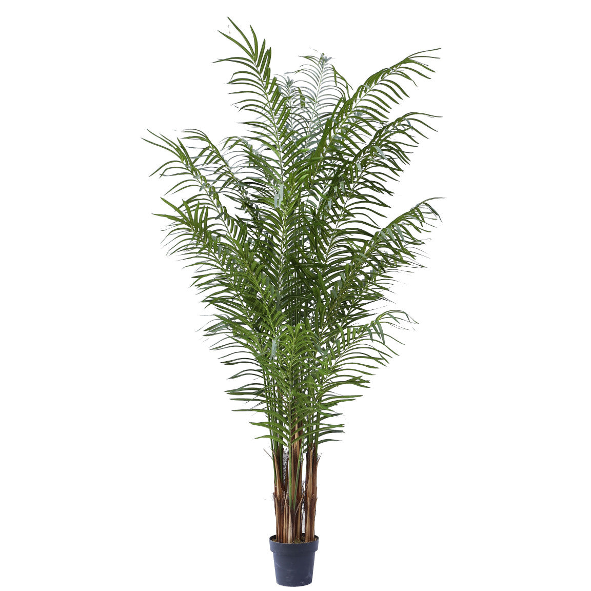 Palma Pianta Cm.220 7564-09