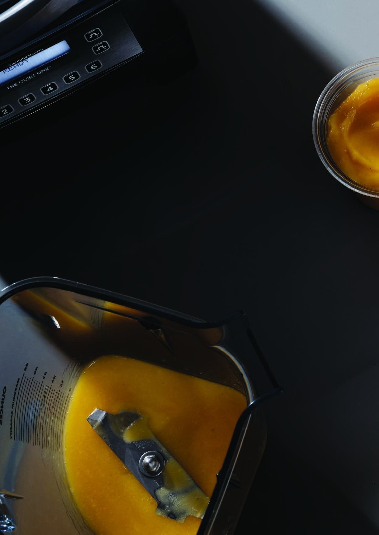 Vitamix The Quiet One: pannello programmi e smoothie al mango nel contenitore Advance